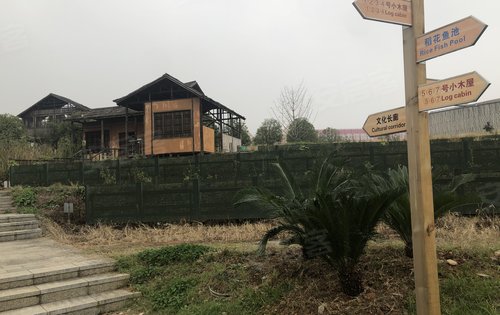 隆平中央公园打卡