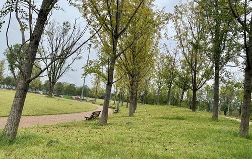 小区门口绿意黯然的公园景色人文环境融于自然