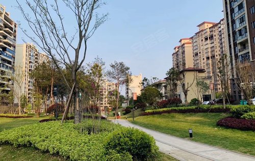 邵东碧桂园珑璟台