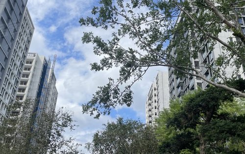 新投映悦湖动态:业主生活的日常,清风拂过树梢,湖光山色映入眼帘。-福州安居客