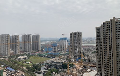 惠州新力城三期图片