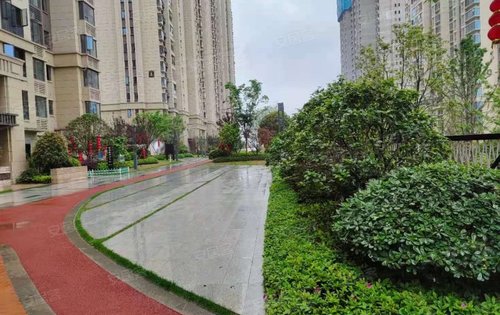 阳光城尚东湾青柠苑图片