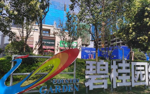 沈丘碧桂园二期地块成功拿取