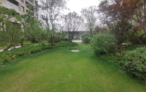 沣水云岭动态:小区东门景观-西安安居客