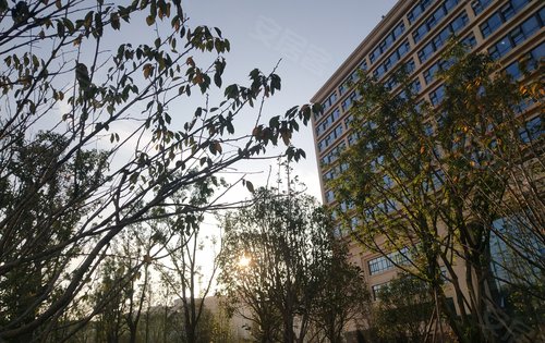 九阙府动态:重医附二院江南院区-重庆安居客