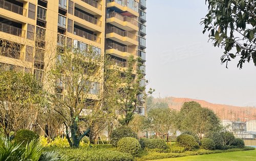 长沙楼盘 雨花楼盘 时代阳光大道楼盘 保利城 楼盘动态