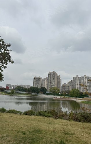 宝山大华公园城市图片