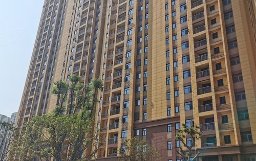 星悦湾动态:阳光下,不一样的星悦湾-武汉安居客