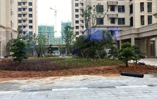 汉港观澜动态:小区绿化在完善-宜春安居客