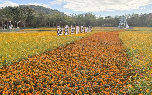 泉州世茂城動態:花海公園裡的房子,接近自然,貼近自然-泉州安居客