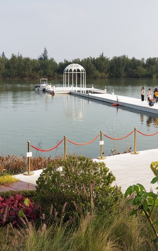 小 区 内 红 树 林 湿 地 公 园 游 艇 码 头,旅 游 看