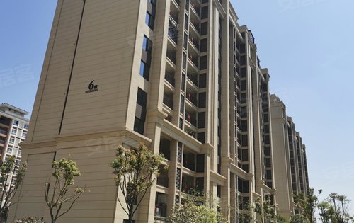 小区16层小高层楼间距开阔