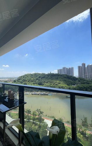 飞鸟白鸽清风繁茂的绿植亚运城天逸实景实拍宜居生活尽在亚运城