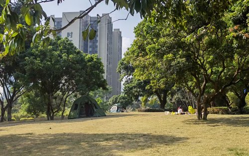 聽著歌逛黃埔科學城創新公園 67對比市區公園有不一樣的感覺,大自然