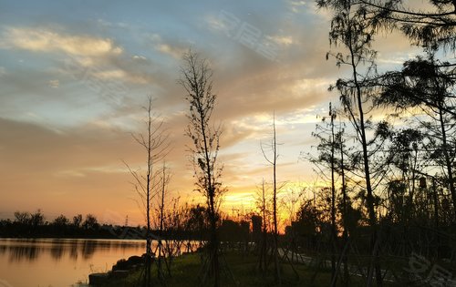 項目西側解憂湖公園