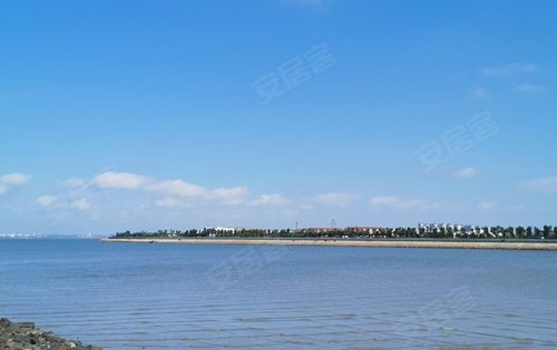 项目西侧白泥地公园