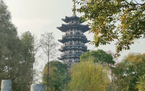 小區附近的洋湖溼地公園