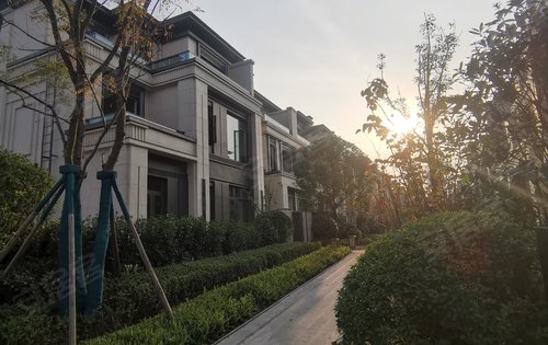 两江新区现房别墅在售