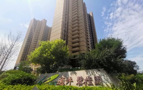 通许碧桂园实景照片