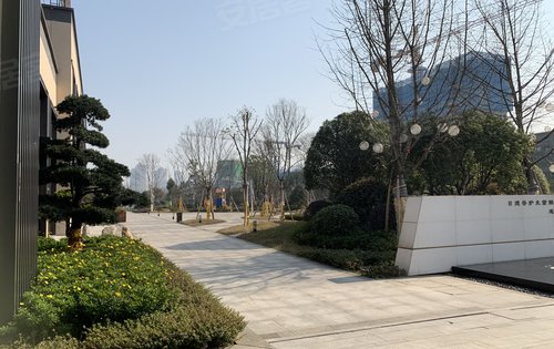 郴州楼盘 苏仙区楼盘 城东楼盘 长房金宸府 楼盘动态