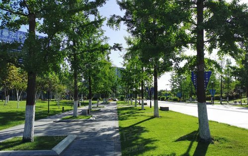 项目周边的公园展示.