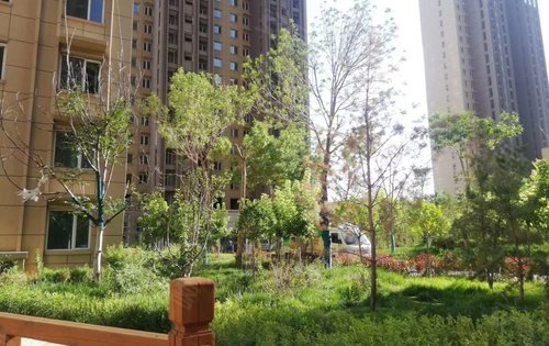 宁港城动态:宁港城小区门口,绿化,楼栋,在里面展示图.-银川安居客