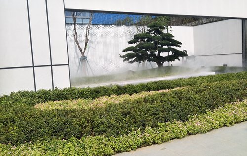 门口的大门和罗汉松,置业东区欢迎咨询