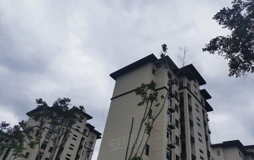 周口楼盘 鹿邑县楼盘 城关镇楼盘 法姬娜·书香门第 楼盘动态