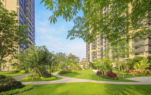 实地惠州常春藤