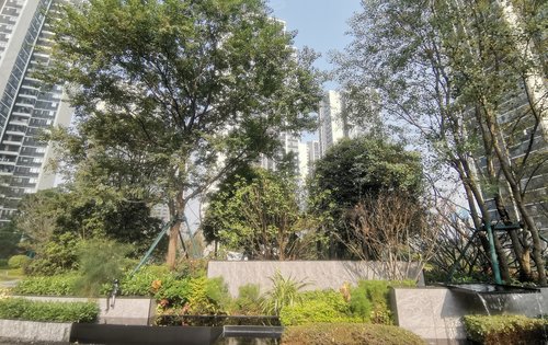 实体拍摄小区园林景观一角