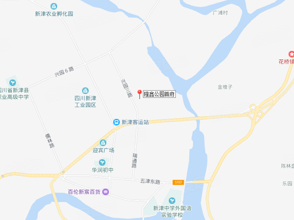 隆鑫公园首府 成都隆鑫公园首府房价 楼盘户型 周边配套 交通地图 兴园三路36号 安居客