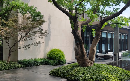 小区绿化景观一览新楼栋加推中参观看房请提前与我预约