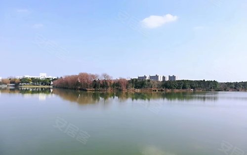 小区对面的昆阳湖