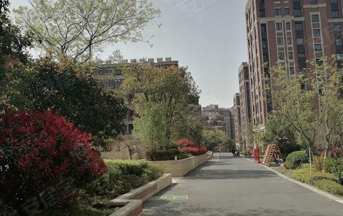 湖光晨樾动态:阳光明媚,楼间距超大-南京安居客