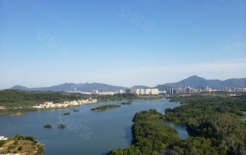 特发天鹅湖畔