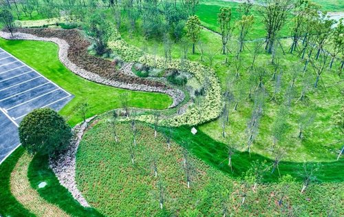 大泽湖近自然湿地公园初现雏形一大波美图先带你逛一圈