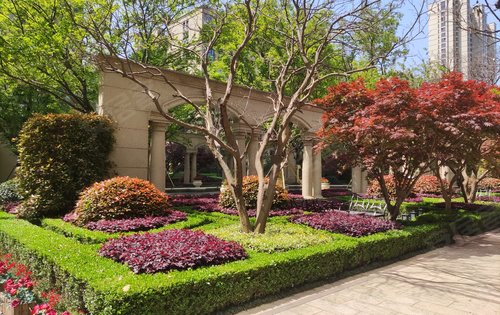 小区的绿化景观