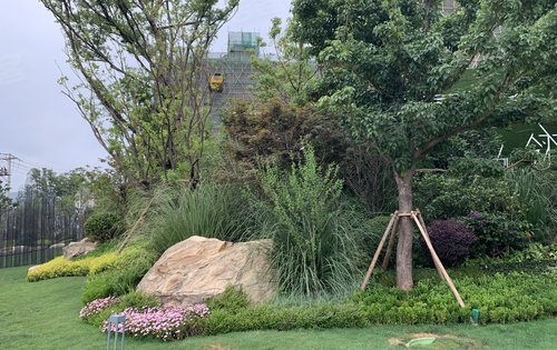 实地昆明花鹤翎