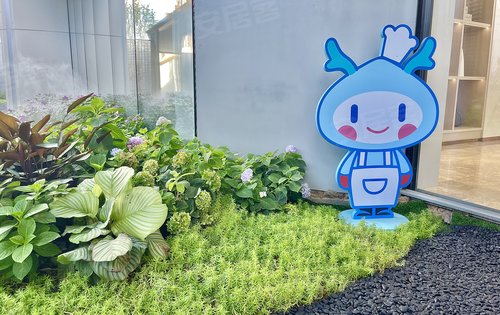 龙湖天璞动态:园区总是能看到龙小湖的身影!