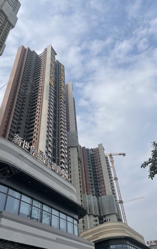 新世界星辉动态:从模型到实体,施工进度绝绝子,新世界开发商实力确实