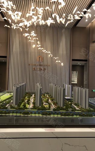 望江悦府动态:望江悦府76平即将加推,看房联系我哦-南京安居客