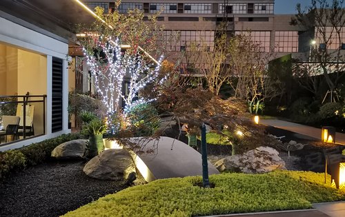 美的金科公园天下渝派夜景观实景拍摄