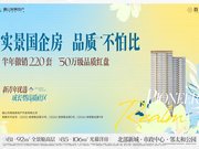 眉山东坡城北片区眉山发展地产·首域楼盘新房真实图片