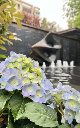 洋房组团主干道，水景，花景实景拍摄