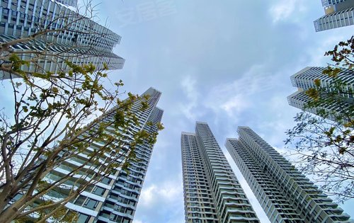 泰丰千花岛一期