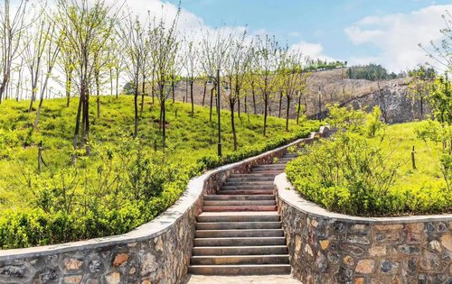 家门口的大美蒋山公园天然的植物氧吧周末娱乐好去处