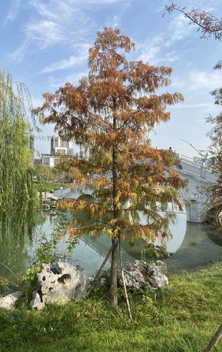 改善項目怎麼滴也得標配一個像樣的公園桃花湖公園真的夠用