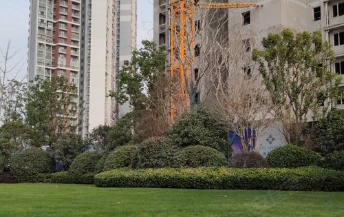 武汉楼盘 洪山楼盘 南湖楼盘 新力雅园 楼盘动态