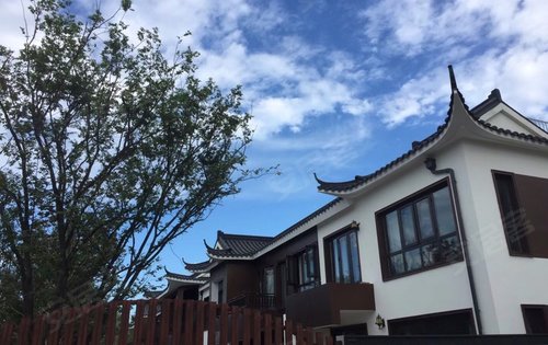 九巨龙济宁孝养城