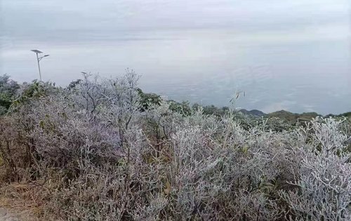 罗浮山结冰图片